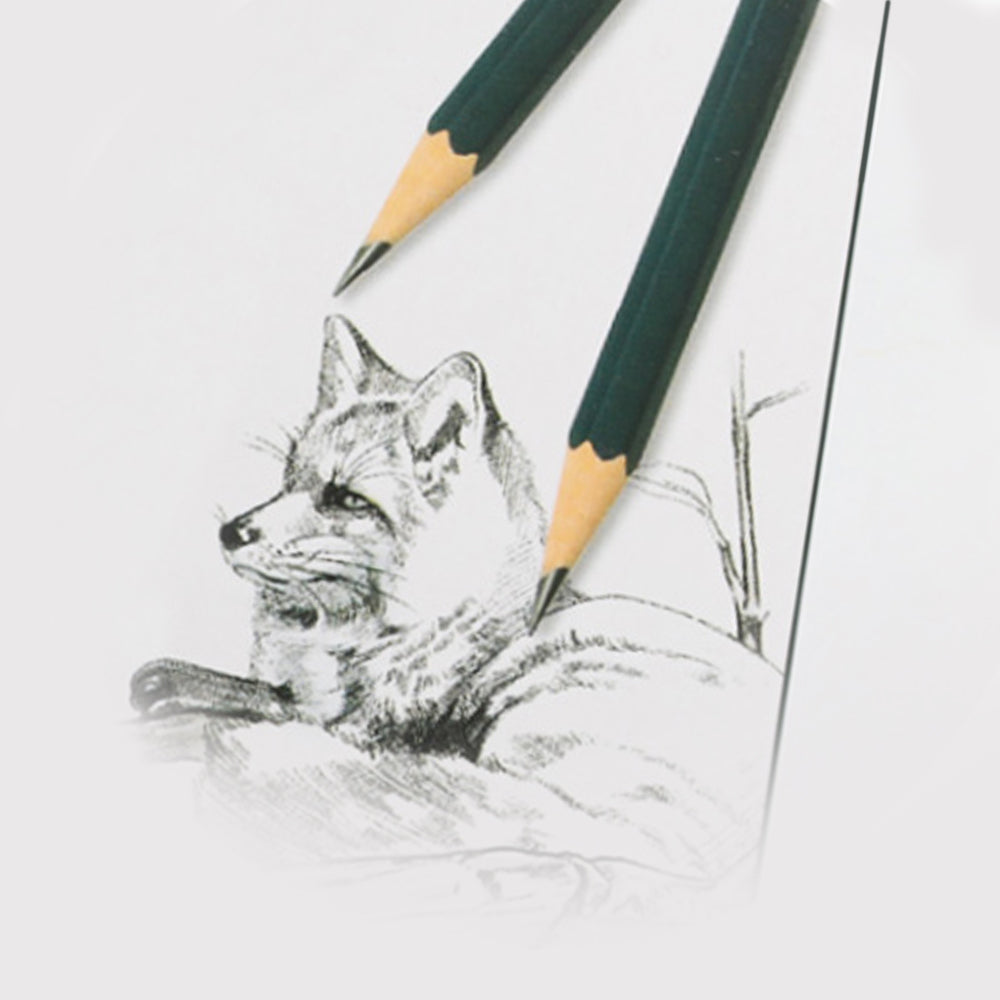 Morning Glory Standard 4B Sketching and Drawing Pencil Set, for Beginner Proartists, Black Graphite Sketch Pencils Set (10 Pcs)