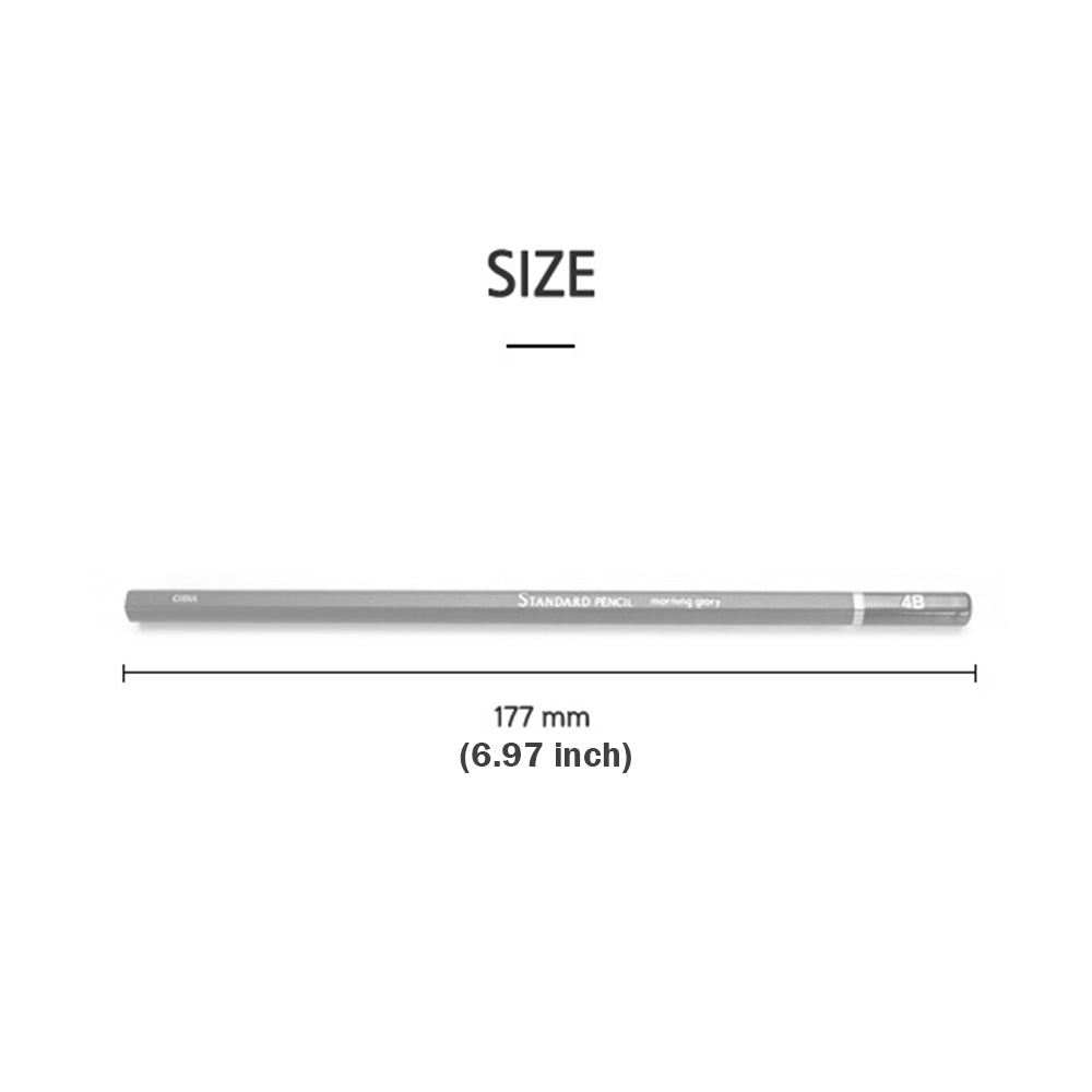 Morning Glory Standard 4B Sketching and Drawing Pencil Set, for Beginner Proartists, Black Graphite Sketch Pencils Set (10 Pcs)
