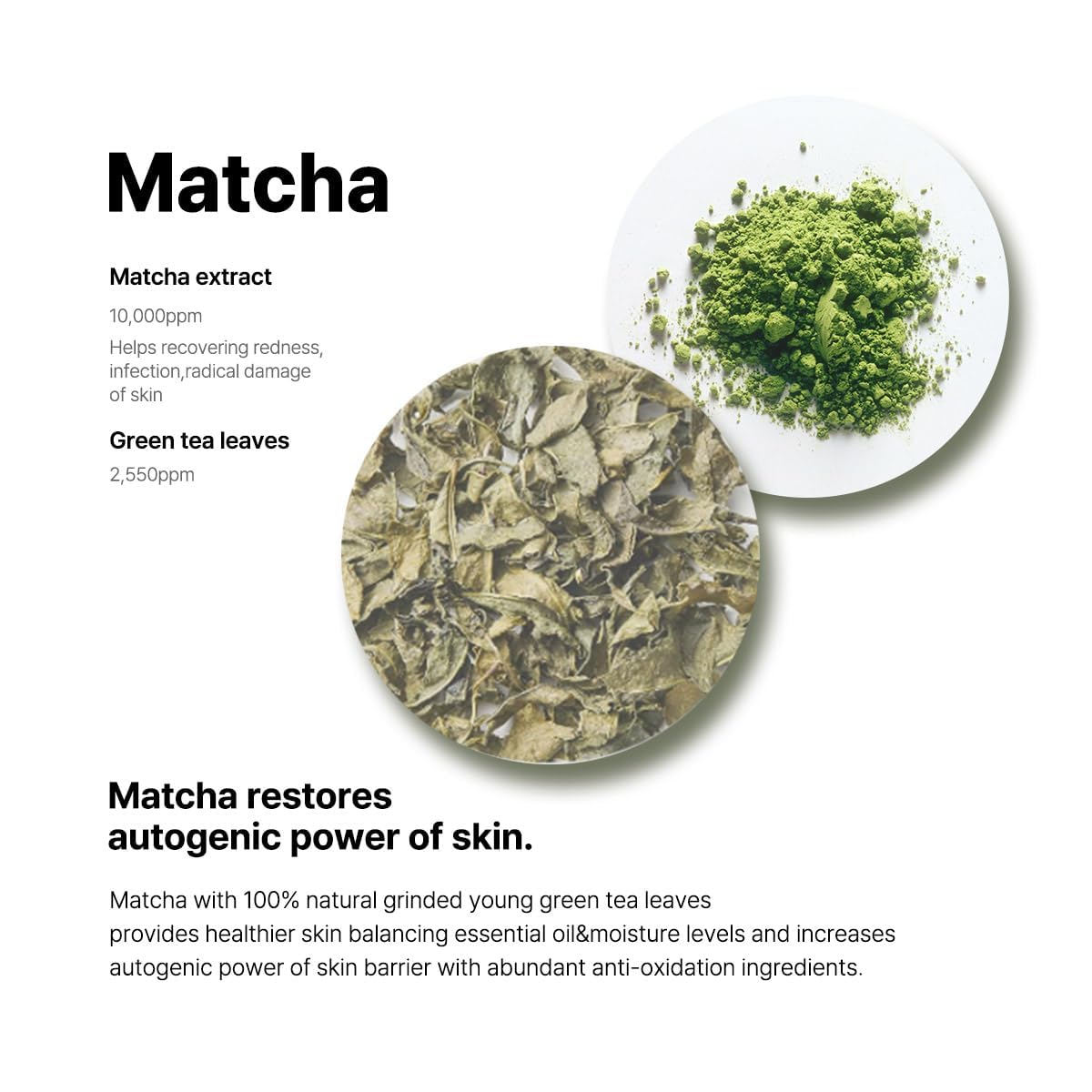 B Lab Matcha Hydrating Foam Cleanser 120ml 4.06oz Facial Cleansing Foam