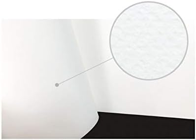 MUNGYO Professional Pastel Paper Pad A4 Size for Oil Pastel, Dry Pastel 30 Sheets (Soft Assorted)