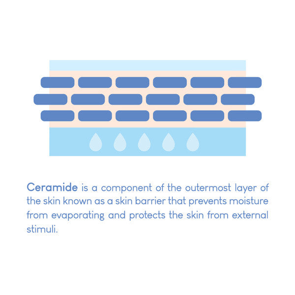 PURITO Dermide Relief Barrier Moisturizer 100ml / 3.38 fl. oz. Vegan and Cruelty Free, Relieving Moisturizer, Soothing, Calming, Safe Ingredients, Protective Barrier