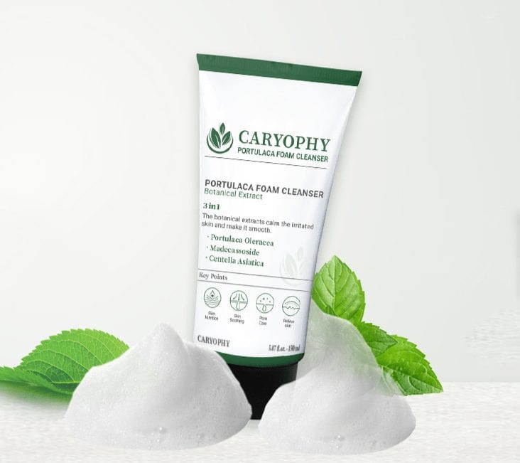 Caryophy Portulaca Cleansing Foam (150ml 5.07 fl oz.) 3 in 1, Portulaca Oleracea, Madecassoside, Centella Asiatica