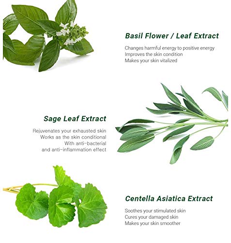 Caryophy Portulaca Cleansing Foam (150ml 5.07 fl oz.) 3 in 1, Portulaca Oleracea, Madecassoside, Centella Asiatica