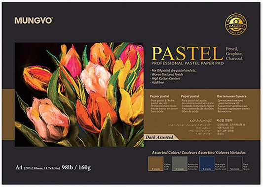 MUNGYO Professional Pastel Paper Pad A4 Size for Oil Pastel, Dry Pastel 30 Sheets (Dark Assorted)