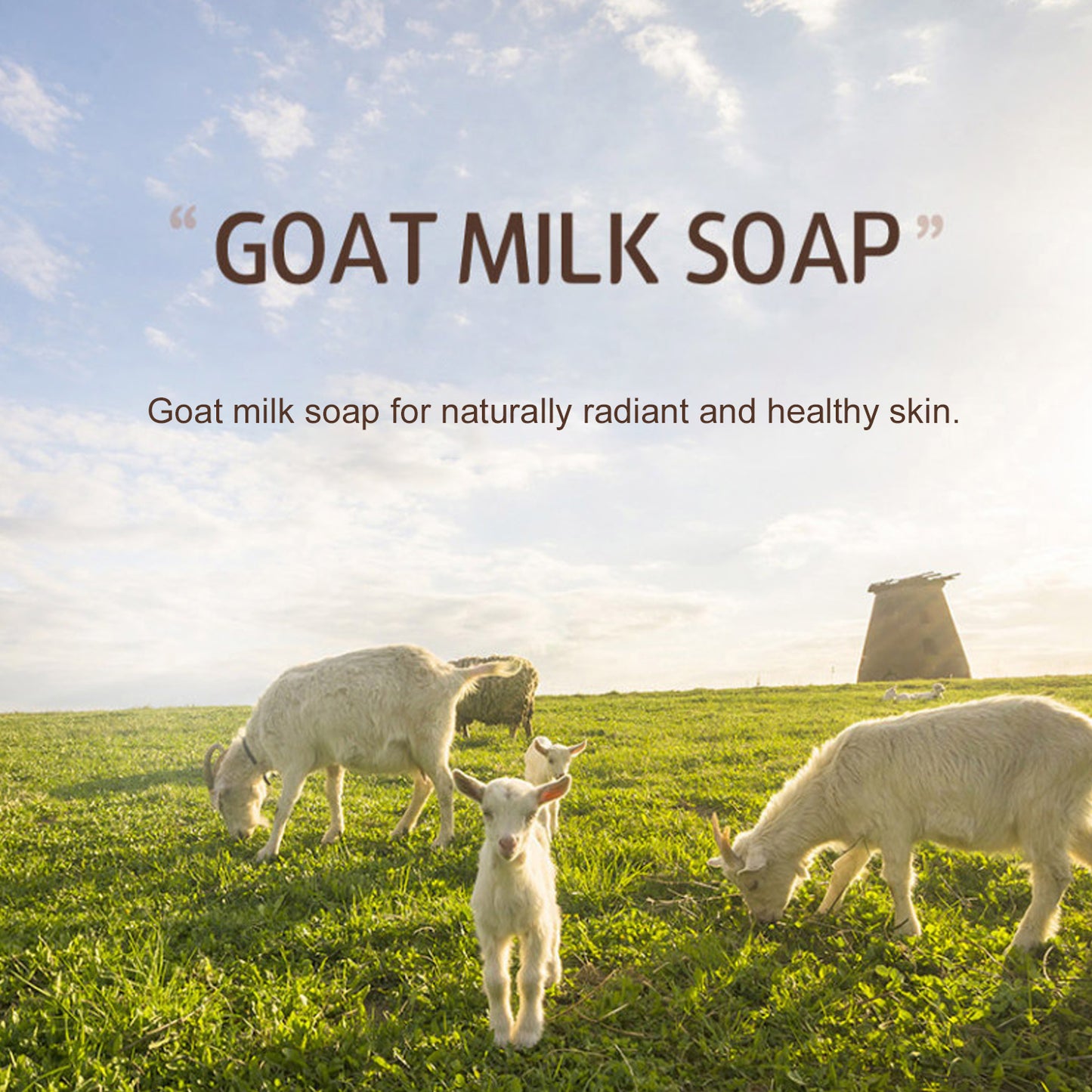 ShowerMate Goat Milk Soap Bar Classic White, Hydrating & Nourishing Soap for Dry Skin, 12 Count